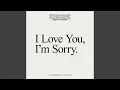 Download Lagu I Love You, I'm Sorry (Live Cover)