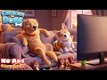 5 Hours of Dog TV for Dogs to Watch Relaxation Anti-Anxiety for Dogs Home Alone Scoutpaw