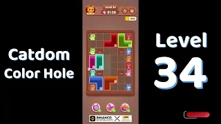 Catdom Color Hole Level 34 Screenshot