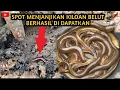 Download Lagu NGUKUY BELUT DI SAWAH YANG HAMPIR KEKERINGAN HASILNYA SANGAT MEMUASKAN#Bocilngotektak