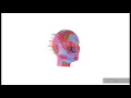 1 Hour Loop - LANY - the older you get, the less you cry