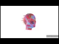 Download Lagu 1 Hour Loop - LANY - the older you get, the less you cry