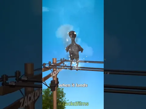 Why Birds Don't Get Electrocuted On Power Line 🤔😨 #shorts #birds #electricity