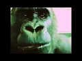 OLIVER EATING AN APPLE super fast