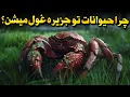 Download Lagu چرا جزیره‌ها حیوانات رو به غول تبدیل می‌کنن؟
