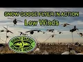Deadly Decoy Snow Goose Flyer on Flyer Pole Kit
