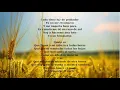 CAIDA LIBRE BY: LEIVA & ROBE (LYRICS)