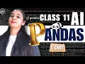 Python PANDAS Python Class 11 AI - 843 Unit 3 Python Programming