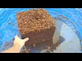 MegaMulch Expanding Coconut Coir - Costco