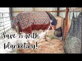 HORSE BLANKETING PROTOCOL FOR EXTREME TEMPS