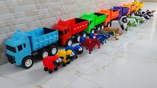 Wadidaw‼️Angkut Sapi Lucu Warna Warni Kambing Kerbau Gajah Buaya Kuda Nil Badak dengan Truk Oleng