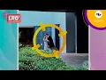 Resumen La Red: Natalia Rincón, exparticipante del Desafío tiene un nuevo amor: conócelo -Caracol TV