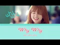 Download Lagu Shannon Williams - Why Why (왜요 왜요) Lyrics (Han/Rom/Eng)