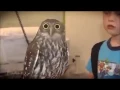 Download Lagu Drop it MEME Compilation