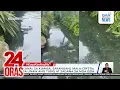 Download Lagu Kanal sa Kiamba, Sarangani, mala-crystal sa linaw ang tubig at sagana sa mga isda | 24 Oras