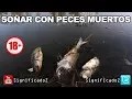 Significado de SONAR CON PECES MUERTOS Que Significa