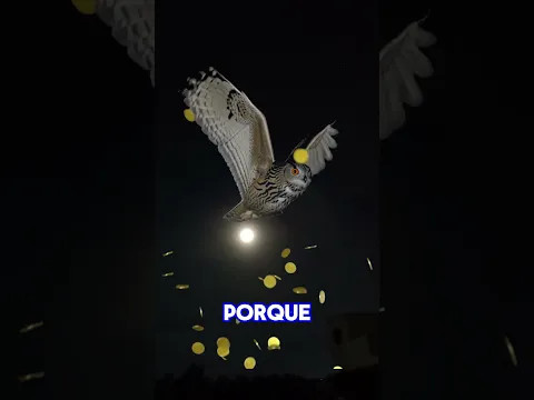 El búho en la noche: señal de que algo grande viene 🦉✨