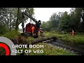 Download Lagu Boom valt op weg in Woensel, verkeer kan er tijdelijk niet door