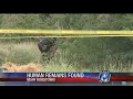 Decomposed body found outside of Robstown