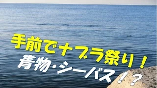 Download 姫路灘浜ジギングサビキ大漁 ノリノリBGM　 Fishing Life MP3