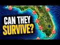 These Florida Towns Won t Exist in 50 Years