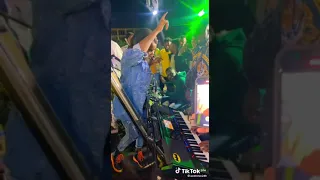 صولات جديدة محمد كمال 