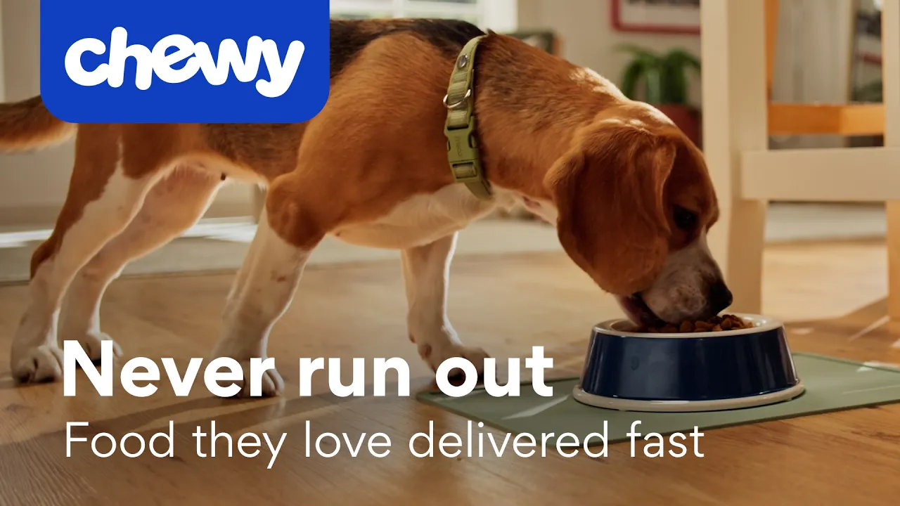 Chewy — Chewy - Purina ONE Whole Body Support Dog Food (YouTube video ad)