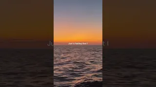 Just Got A Feeling, Ocean Been on my Mind