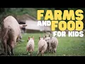 Farms and Food for Kids | Learn how food comes from a farm to your table