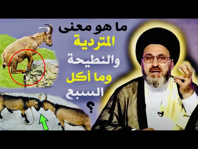 ⁣متصل: ما هو معنى المتردية والنطيحة وما أكل السبع ؟ | السيد رشيد الحسيني