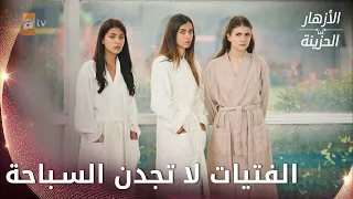 درس السباحة في المدرسة الحلقة 5 الأزهار الحزينة 