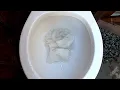 2022 Project Source Pro Flush Vs Thick Paper Tests