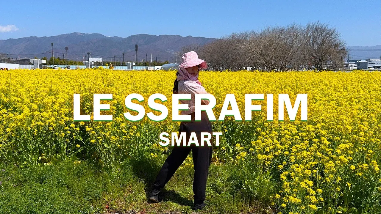 葡萄農家の娘がLE SSERAFIM【Smart】踊ってみた Dance Cover