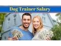 Dog Trainer Salary How Much Can You Earn as a Dog Trainer