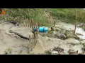 python trap using live chicken