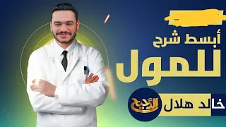 الدرس الاول كيمياء تانية ثانوي الترم الاول 2026 المول والكتلة المولية 