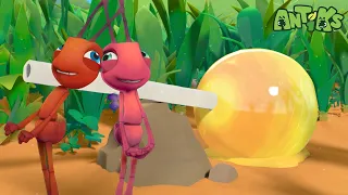 Sticky Meal Funny Cartoons For All The Family Funny Videos For Kids ANTIKS 