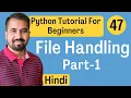 File Handling in Python Part-1 Explained in Hindi l Python Tutorial For Beginners