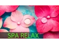 6 Hour Super Relaxing Spa Music Meditation Music Massage Music Relaxation Music Soothing 594