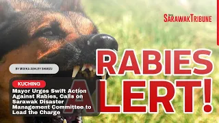 Mayor Urges Swift Action Against Rabies Calls on SDMC to Lead the Charge