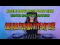 Download Lagu JUNGLE DUTCH BASS PADET BIKIN GETER SAMPE JANTUNG DJ INDIA x IT'S MY LIFE