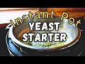 Easy Instant Pot Yeast Starter in Homebrewing