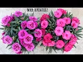 Download Lagu GROWING Carnation and TIPS for MAXIMUM Flowers!