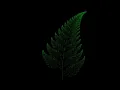 Fern Leaf in Python using Turtle