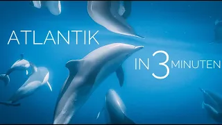 25 Tage auf See: Atlantiküberquerung in 3 Minuten || SY7seas