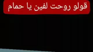 احلي حاله واتس وماسنجر  حمو بيكا  يا حمام دندنها