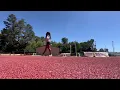 Speed Agility Drill using Quickplay Pro Adjustable Hurdles Soccer Basketball Tennis Softball