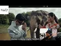 WHOA!!!!! Awich, Jay Park, KR$NA, Masiwei & VannDa - ASIAN STATE OF MIND| MV| REACTION