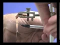Frog Dissection - Hang Gastrocnemius