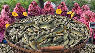 Climbing Fish Curry Recipe of Village Women | গ্রামের সবাইকে একসাথে কৈ মাছের ঝোল ও ভাত